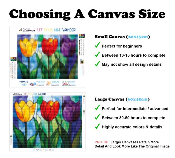 The Vibrant Tulip Trio Discount - Image 3