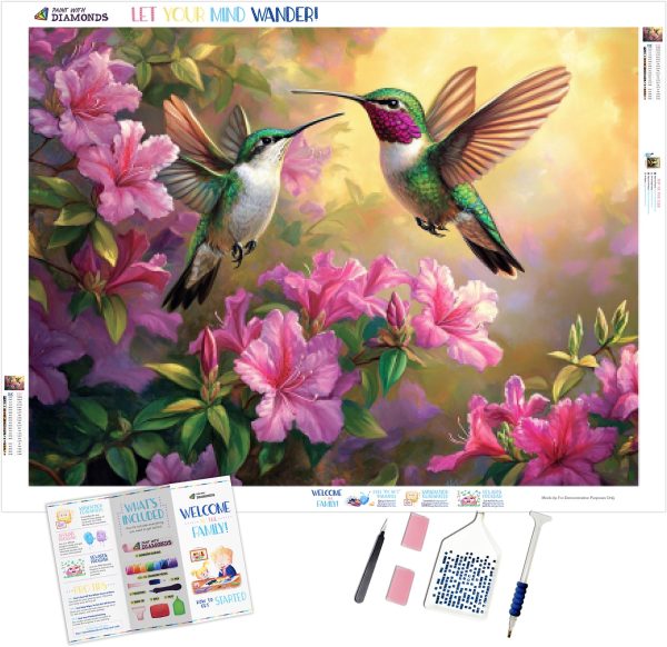 Hummingbird’s Springtime Symphony For Discount