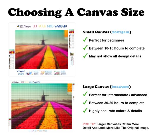 Dutch Tulip Fields in Spring Sale - Image 3
