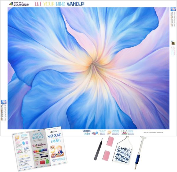 Blue Morning Glory Discount