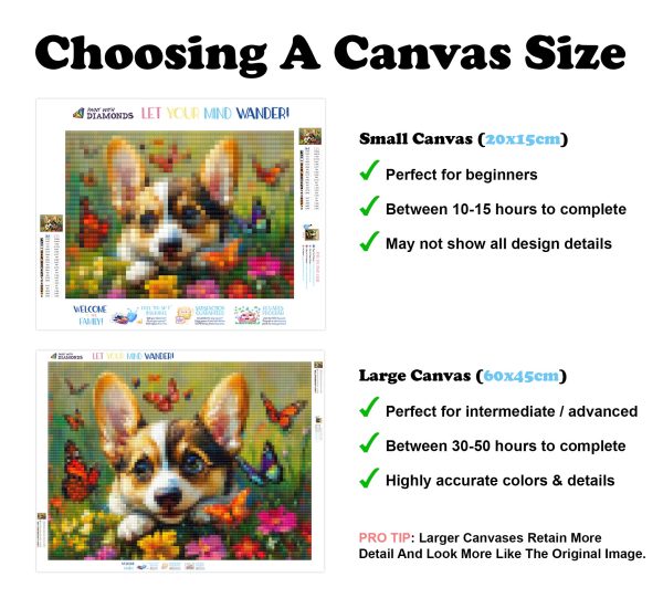Curious Corgi with Butterflies For Discount - Image 3