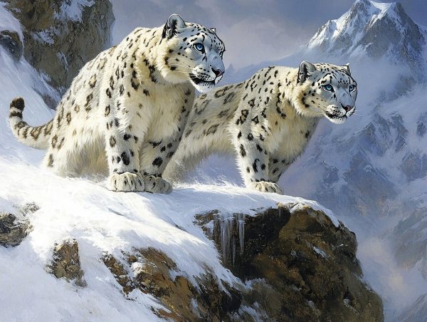 Snow Leopards Among the Peaks Discount - Image 2