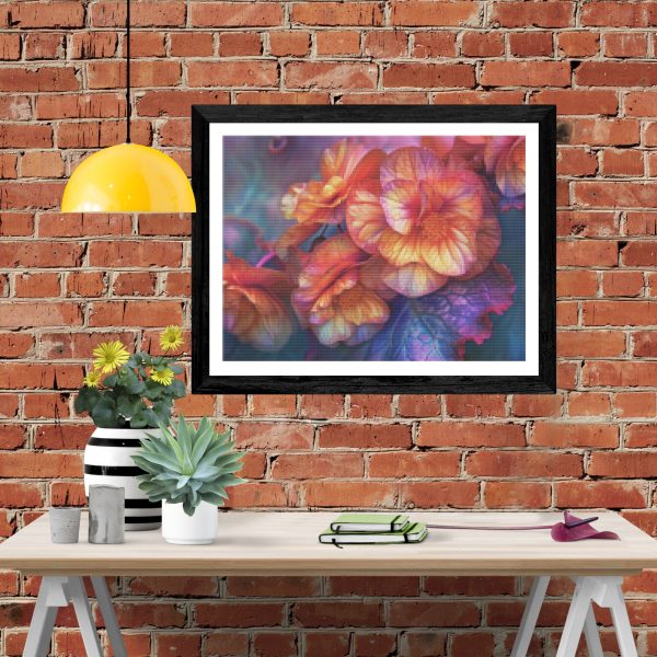 Begonia Brilliance For Sale - Image 4