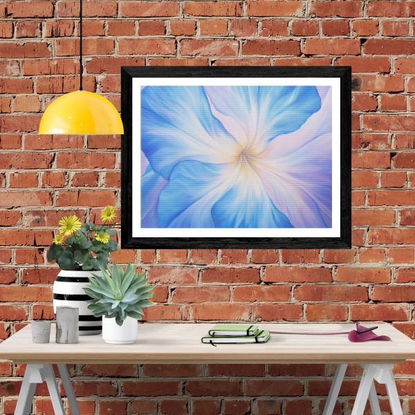 Blue Morning Glory Discount - Image 4
