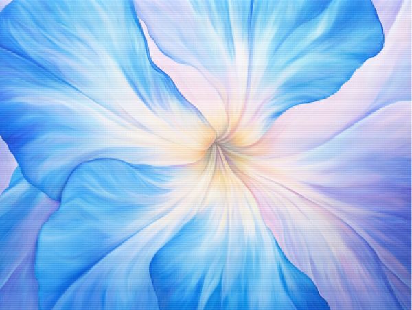 Blue Morning Glory Discount - Image 5