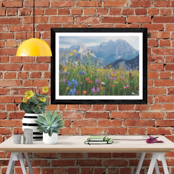Mountain Wildflowers For Discount - Image 4