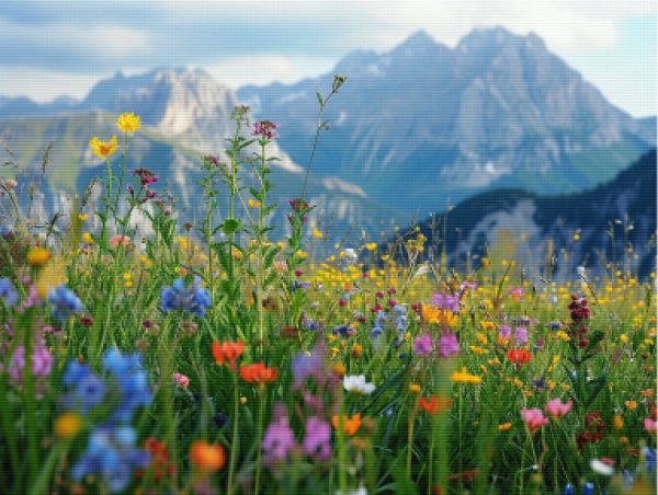 Mountain Wildflowers For Discount - Image 5