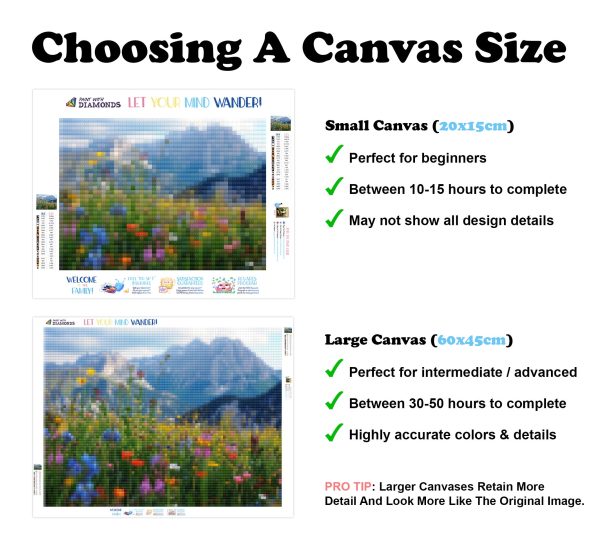 Mountain Wildflowers For Discount - Image 3