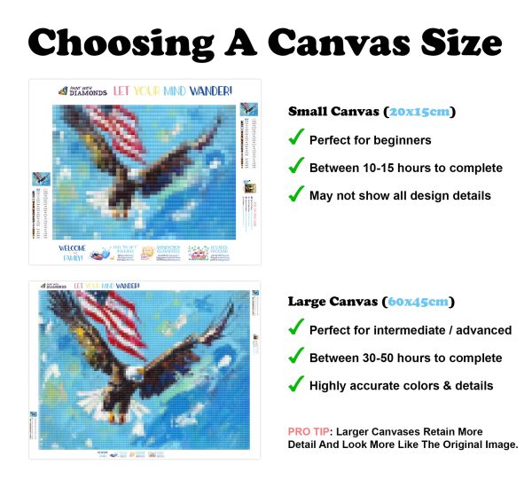 Powerful Eagle and Flag Discount - Image 3