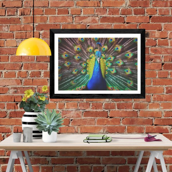 Proud Powerful Peacock Online - Image 4