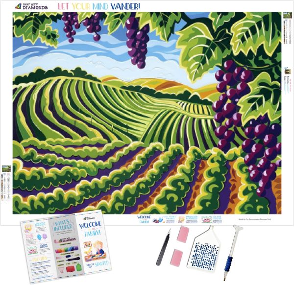 Summer Vineyard Scene For Cheap
