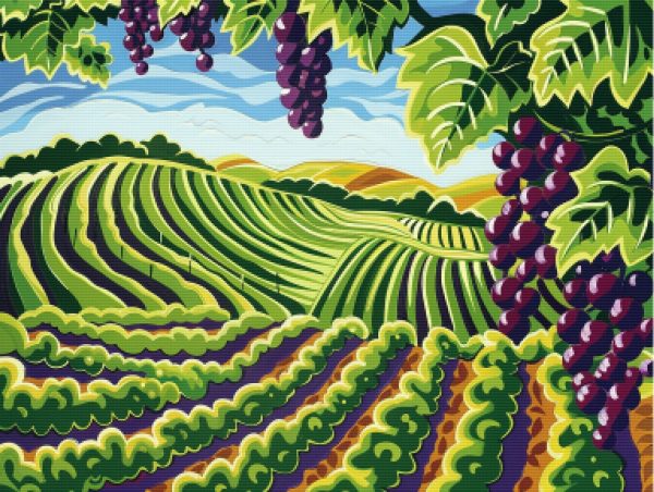 Summer Vineyard Scene For Cheap - Image 5