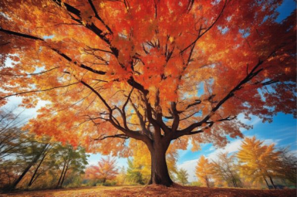 Golden Canopy Hot on Sale - Image 5